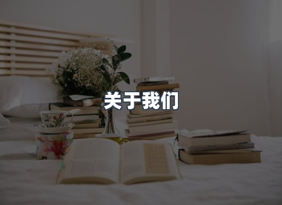 关于我们